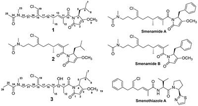 The Metabolome of a Cyanobacterial Bloom Visualized by MS/MS-Based Molecular Networking Reveals New Neurotoxic Smenamide Analogs (C, D, and E)